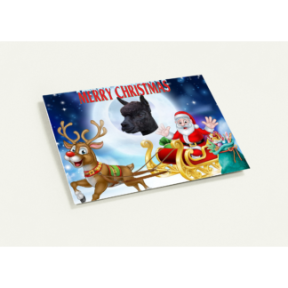 Geronimo the Alpaca Christmas Card – A Playful and Joyful Holiday Surprise!